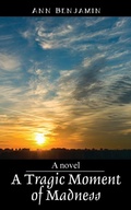 Cover: A Tragic Moment of Madness - Outskirts Press