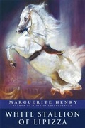 Cover: White Stallion of Lipizza - Aladdin