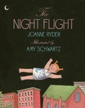 Cover: The Night Flight - Simon & Schuster