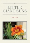 Cover: Little Giant Suns - Xlibris Corporation