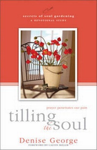 Enlarge image Cover: Tilling the Soul - Zondervan