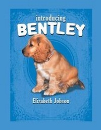 Enlarge image Cover: Introducing Bentley - Xlibris Corporation