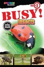 Cover: Busy! Insects - Carson-Dellosa Publishing - (Spectrum)