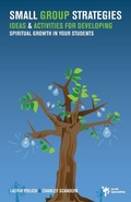 Cover: Small Group Strategies - Zondervan