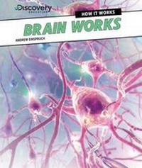 Enlarge image Cover: Brain Works - PowerKids Press