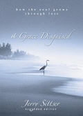Cover: A Grace Disguised - Zondervan
