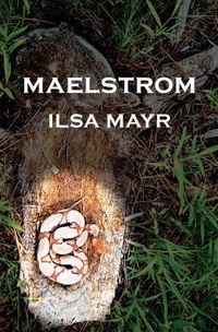 Abbildung von: Maelstrom - Thomas & Mercer