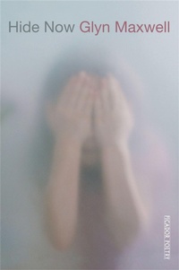 Enlarge image Cover: Hide Now - Picador