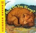 Cover: How Do You Sleep? - Two Lions