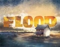 Cover: Flood - Capstone Press