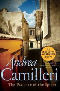Abbildung von: The Patience of the Spider - Macmillan