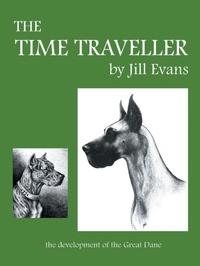 Enlarge image Cover: The Time Traveller - iUniverse