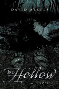 Enlarge image Cover: 3rd Hollow - Xlibris