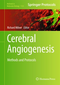 Abbildung von: Cerebral Angiogenesis - Humana