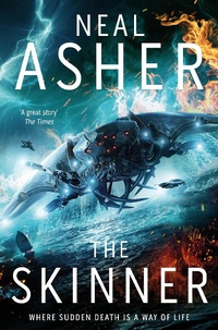 Abbildung von: The Skinner - Tor