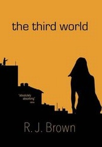 Enlarge image Cover: The Third World - Xlibris