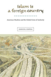 Abbildung von: Islam Is a Foreign Country - New York University Press