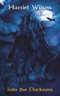 Cover: Into the Darkness - AuthorHouse