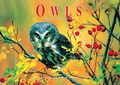 Cover: Owls - Firefly Books Ltd