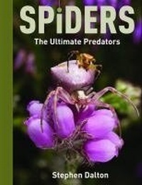 Enlarge image Cover: Spiders: The Ultimate Predators - Firefly Books Ltd