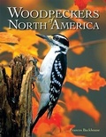 Cover: Woodpeckers of North America - Firefly Books Ltd