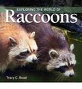 Cover: Exploring the World of Raccoons - Firefly Books Ltd