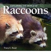 Enlarge image Cover: Exploring the World of Raccoons - Firefly Books Ltd