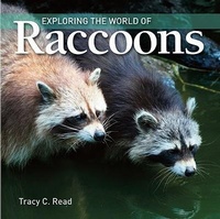 Enlarge image Cover: Exploring the World of Raccoons - Firefly Books Ltd