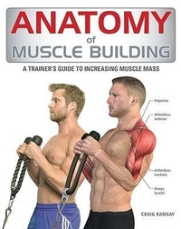Enlarge image Cover: Anatomy of Muscle Building - Firefly Books Ltd