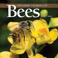 Enlarge image Cover: Exploring the World of Bees - Firefly Books Ltd
