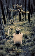 Cover: And the Birds Rained Down - Coach House Books