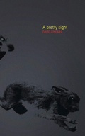 Cover: A Pretty Sight - Coach House Books