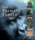 Cover: The Primate Family Tree - Firefly Books Ltd
