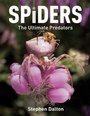 Cover: Spiders - Firefly Books Ltd