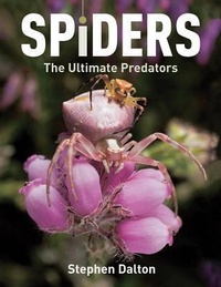 Enlarge image Cover: Spiders - Firefly Books Ltd