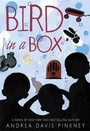 Cover: Bird in a Box - Little, Brown Young Readers