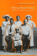 Cover: Making Ethnic Choices - Temple University Press,U.S.