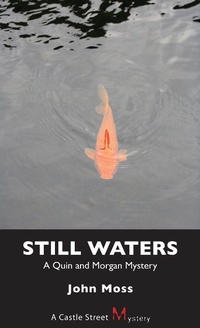 Enlarge image Cover: Still Waters - Dundurn Group Ltd