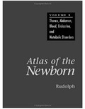 Cover: ATLAS OF THE NEWBORN (VOL. 5) - B.C. Decker Inc