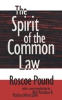 Cover: The Spirit of the Common Law - Routledge