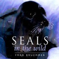 Cover: Seals in the Wild - Key Porter Books Ltd