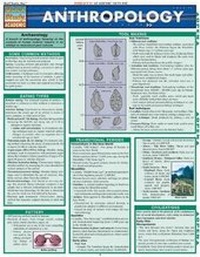 Enlarge image Cover: Anthropology - Barcharts, Inc