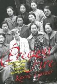 Enlarge image Cover: Precious Fire - University of Massachusetts Press