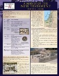 Cover: A Survey of the New Testament Laminated Sheet - Zondervan Academic
