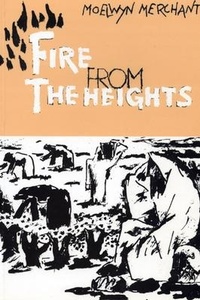 Enlarge image Cover: Fire from the Heights - Wipf & Stock Publishers