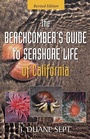 Cover: The Beachcomber's Guide to Seashore Life of California - Harbour Publishing
