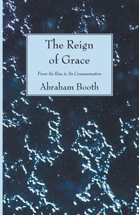 Enlarge image Cover: The Reign of Grace - Wipf & Stock Publishers