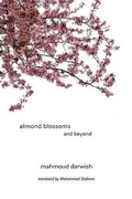 Cover: Almond Blossoms and Beyond - Interlink Books