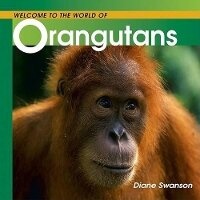 Enlarge image Cover: Welcome to the World of Orangutans - Whitecap Books Ltd
