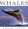 Cover: Whales - Whitecap Books Ltd